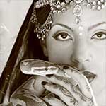 Sevdha Bollywood Dancer in Orlando with Snake